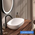 Mueble de baño INDICO 60 2 C con lavabo sobre encimera