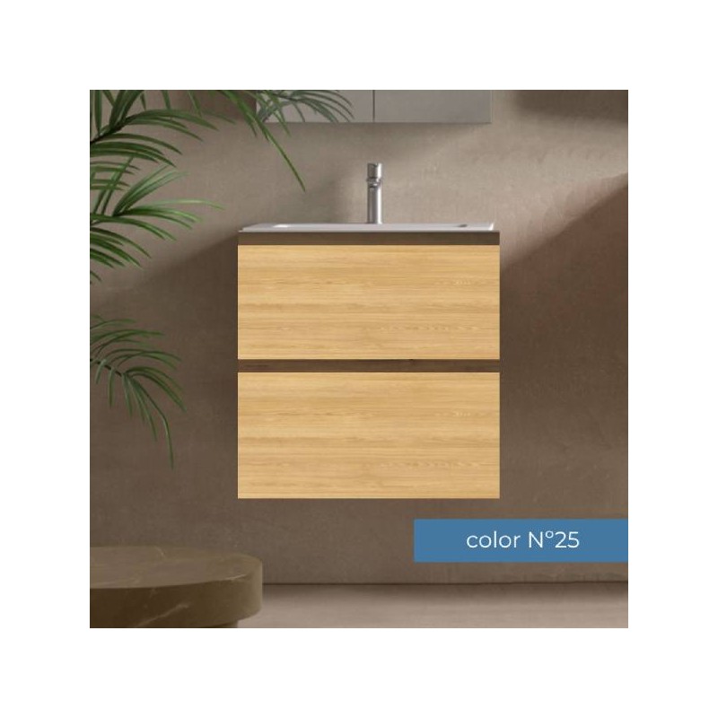 Mueble de baño Carmen 60 2 cajones