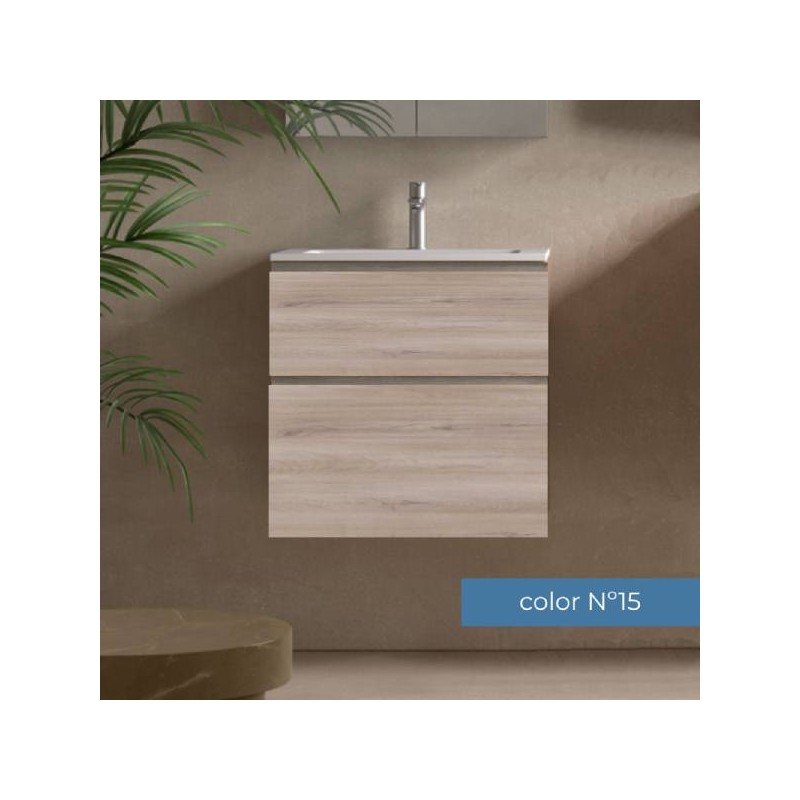 Mueble de baño Carmen 60 2 cajones