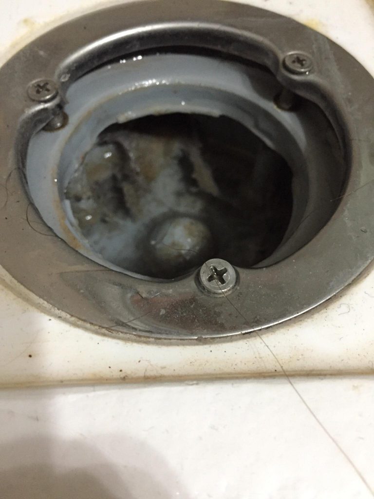 Limpieza del cesto de la válvula de ducha